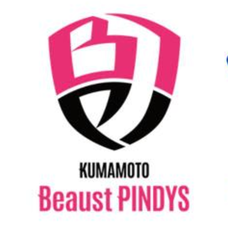 熊本ビューストピンディーズ
